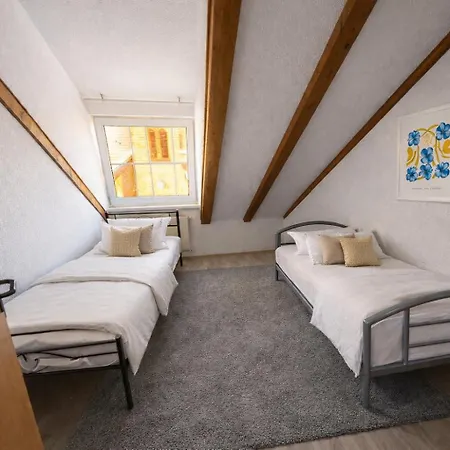 Spacious Workers Longstay Near Frankfurt Am Main Apartment