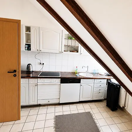 Spacious Workers Longstay Near Frankfurt Am Main Apartment